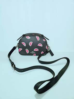 Coach Camera Bag with Watermelon Print purse C2061-1594